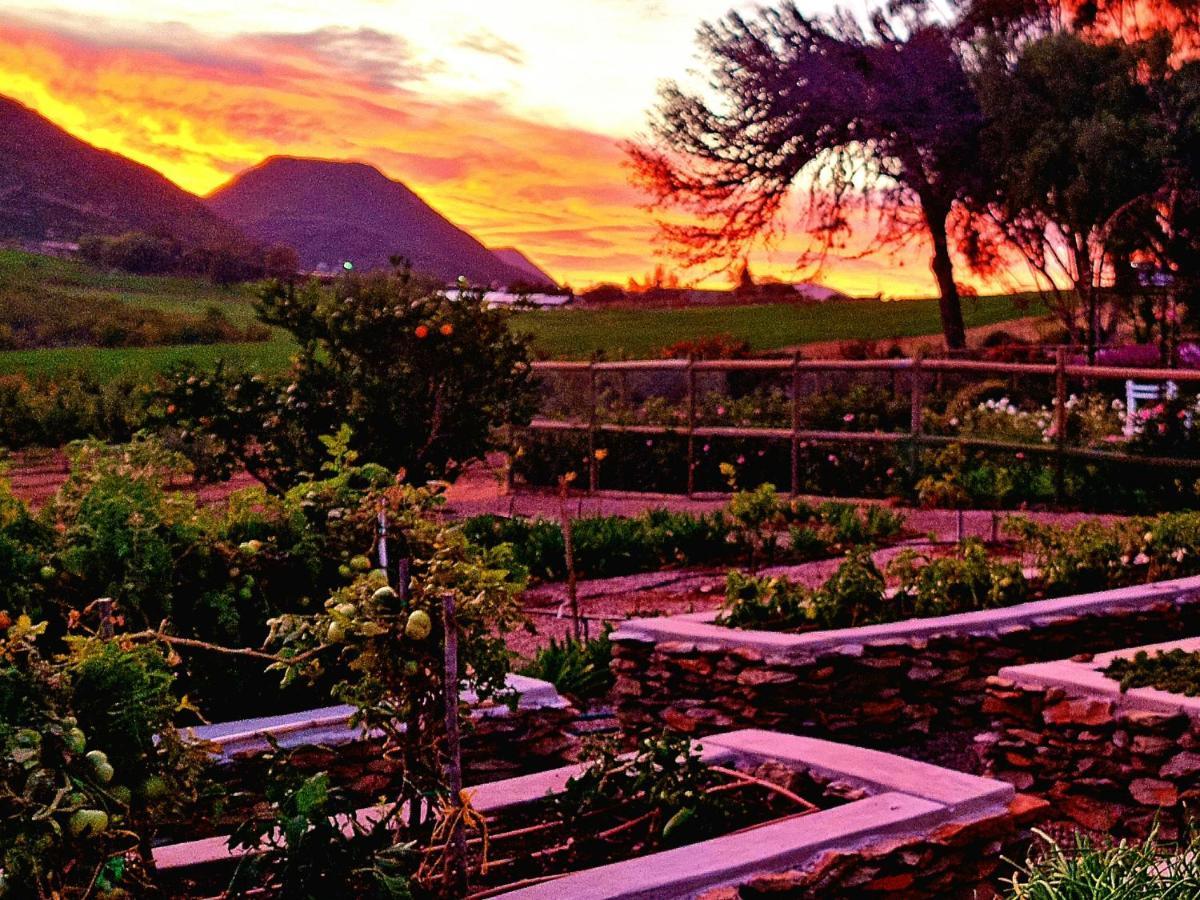 Pjure Boutique Hotel & Spa Montagu Exterior foto