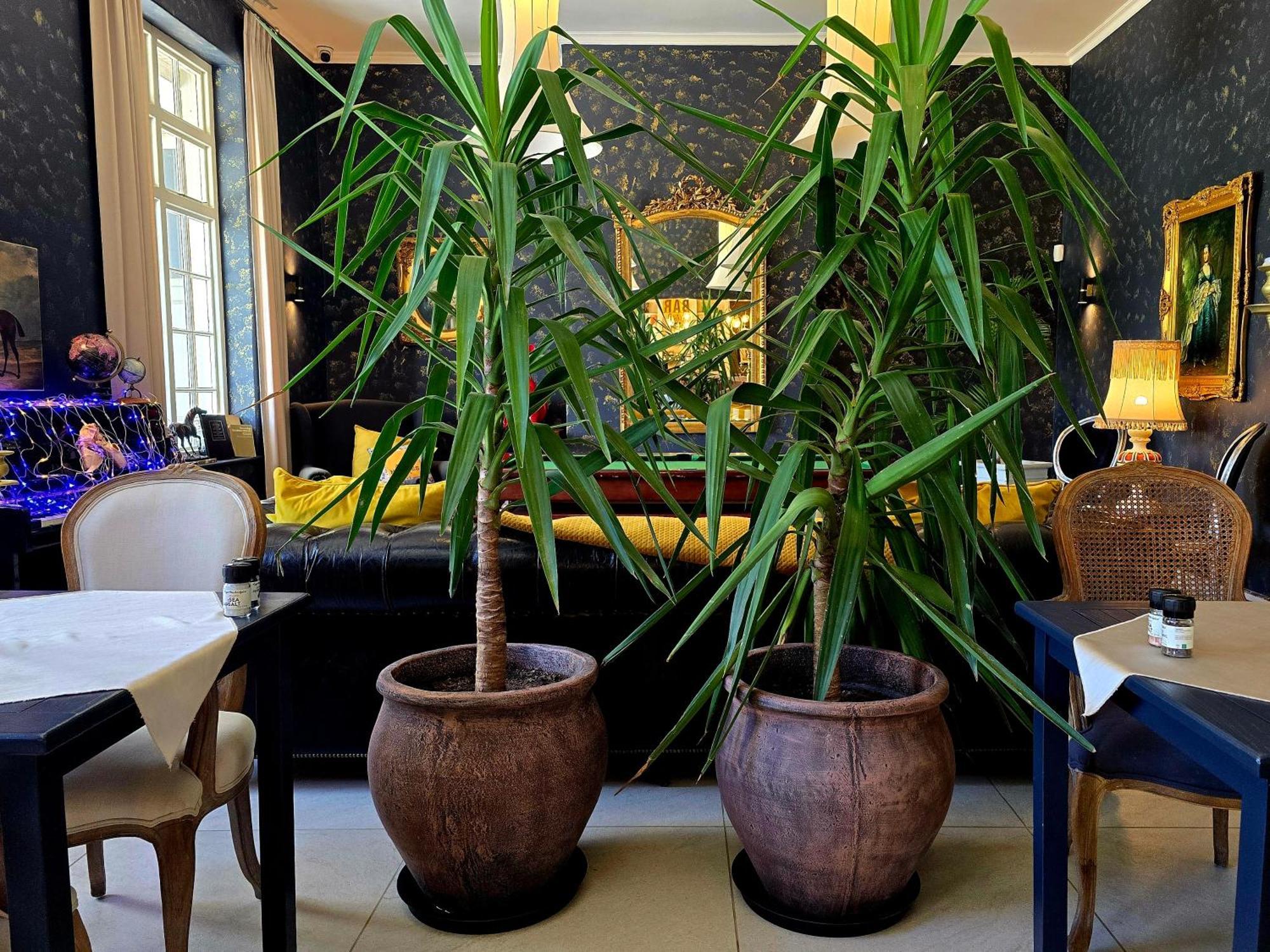 Pjure Boutique Hotel & Spa Montagu Exterior foto